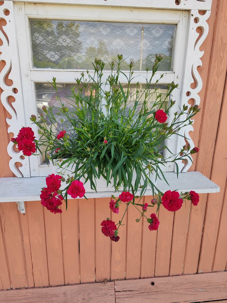 Гостиница Юрьево Подворье Вельск-151