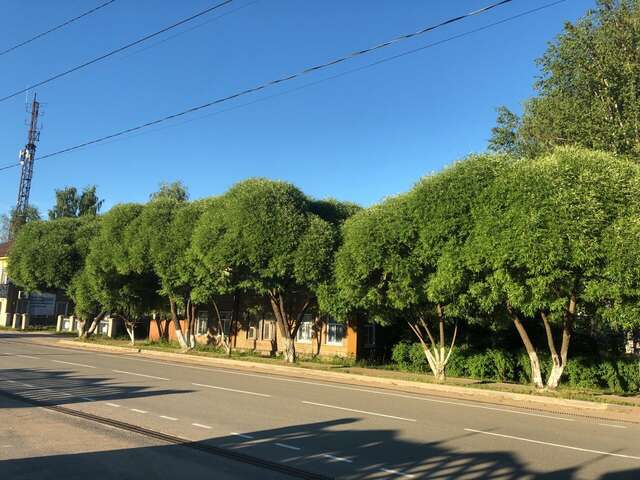 Гостиница Юрьево Подворье Вельск-144